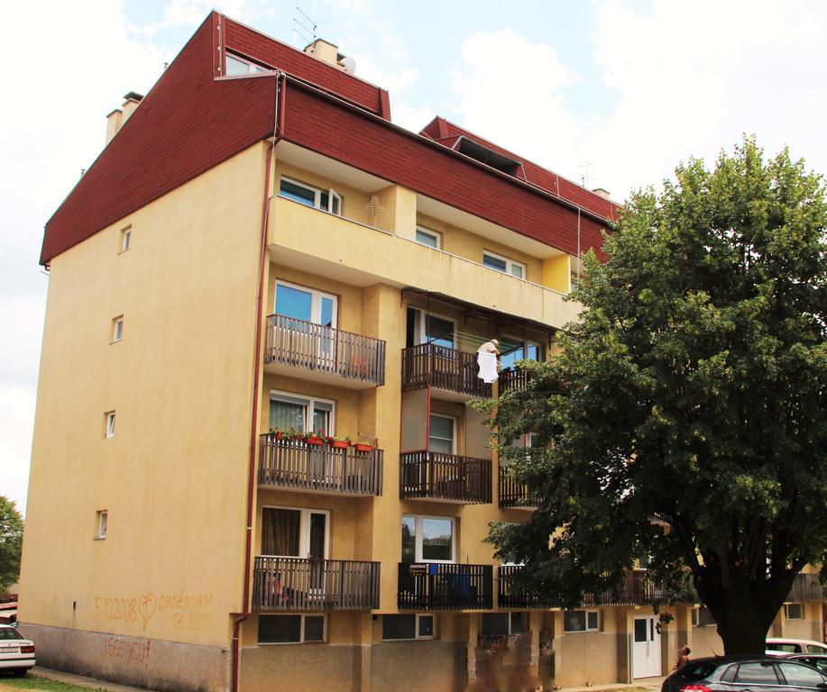 Apartman Drenovac سلوني المظهر الخارجي الصورة
