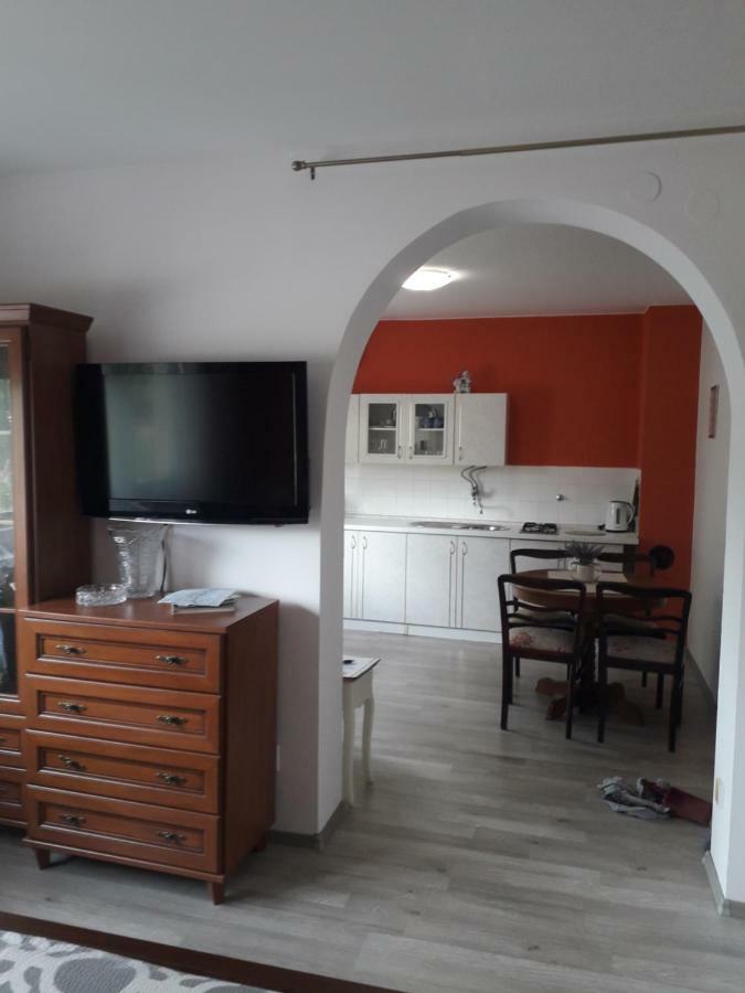 Apartman Drenovac سلوني المظهر الخارجي الصورة